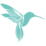 hummingbird-transparent-green-1080